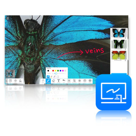 ViiShow